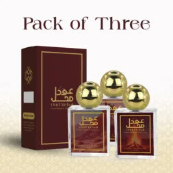 Deal 2: Any 3 Perfume Bundle